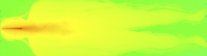 Whole-body dose distribution calculated with a human body voxel phantom